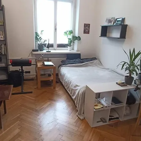 Apartment Entire Studio In The City Center